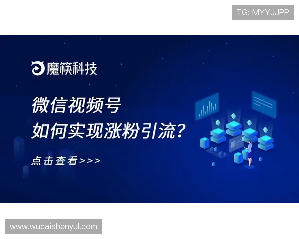 亚洲最大的博彩平台全面解析，助你了解行业领先的博彩网站优势与发展趋势